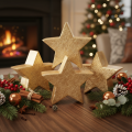 Decoratieve kerststerrenhouder voor op tafel of plank, 10 cm, 3 stuks | Floristik24.nl