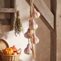 Knoflookdecoratie om op te hangen, kunstmatig geelpaars, L50cm | Floristik24.nl