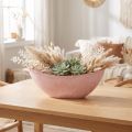 Decoratieve schaal plantenbak roze 34cm x 11cm H11cm | Floristik24.nl