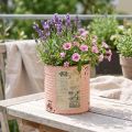 Bloempot decoratief blik van zalmkleurig metaal, zomerdecoratie Ø11cm H10.5cm | Floristik24.nl