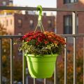 Hangmand 25cm groen | Floristik24.nl