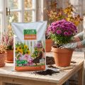 Villa Flora potgrond 10 liter | Floristik24.nl