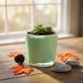 Glazen pot Ø10cm H8,5cm mintgroen | Floristik24.nl