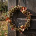 Decoratieve krans, natuurlijk, Ø33cm, korstmos, mos, deurkrans, tafeldecoratie, wanddecoratie | Floristik24.nl
