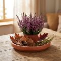 Onderzetter terracotta klei, keramiek schaal Ø17.5cm | Floristik24.nl