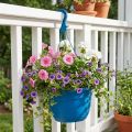 Hangmand 25cm blauw | Floristik24.nl