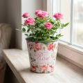 Plantenbak, emmer om te planten, plantenbak met roos H13cm Ø13,5cm | Floristik24.nl