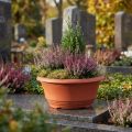 Plantenbak kunststof Ø20cm bloemenbak terracotta 5 stuks | Floristik24.nl