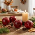 Decoratieve appels rood, gelakt Ø8cm 6 st | Floristik24.nl