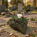 Planter Hart Vine Moss 21cm x 26cm H6cm | Floristik24.nl