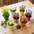 Kunststof pot bloem Ø12cm 25 st | Floristik24.nl