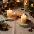 Ronde berkenschijven, naturel, 10 stuks – Decoratie &amp; Knutselen, Bruiloft, Kerstmis | Floristik24.nl