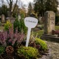 Plantenetiket 16cm 10st. | Floristik24.nl