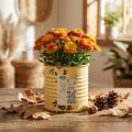 Decoratieve blikken plantenpot, zomerse abrikooskleur, metalen blik, Ø8cm H7,5cm | Floristik24.nl