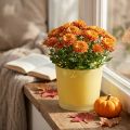 Glazen bloempot gele plantenpot glazen kuip Ø14.5cm H12.5cm | Floristik24.nl