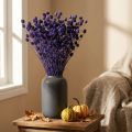 Aardbeiendistels Droge disteldisteldecoratie Violet 44-58cm 100g | Floristik24.nl