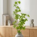 Kunstmatige Schefflera-tak,