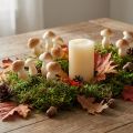 Decoratieve paddestoel op draad 3cm - 5cm 24 st | Floristik24.nl