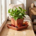 Onderzetter Lara vierkant 29cm x 29cm terracotta 1 st | Floristik24.nl