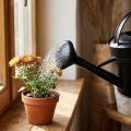 Gieter douche zwart 5l | Floristik24.nl