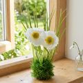 Papaverwit in het gras 23cm | Floristik24.nl