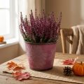 Bloempot met bladdecoratie, herfstdecoratie, metalen plantenbak wijnrood Ø16.5 cm H14.5 cm | Floristik24.nl