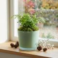 Glazen bloempot groene plantenbak glazen kuip Ø14.5cm H12.5cm | Floristik24.nl