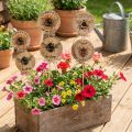 Bloemsteker houten bij siersteker met spreuk 7x27,5cm 12 stuks | Floristik24.nl