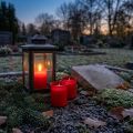 Navulkaars voor graflicht navulinzet graflampen rood 20 stuks | Floristik24.nl