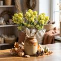 Fat Hen Green Sedum Muurpeper Kunstbloemen 41cm 3st | Floristik24.nl
