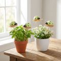 Lieveheersbeestje decoratieve bloempluggen hout 2,5x3,5x2cm 32st | Floristik24.nl