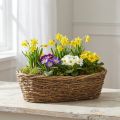 Natuurlijke plantenpot voor wijnranken, ovale bloempot, 40x19x11,5 cm | Floristik24.nl