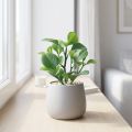 Groene kunstplant vetplant kunstgroen H14cm | Floristik24.nl