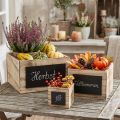 Rustieke houten dozen met krijtbordoppervlak – naturel en zwart, diverse maten – veelzijdige opbergoplossing – set van 3 | Floristik24.nl