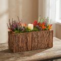 Langwerpige houten plantenbak, bloembak van dennenbast, 27×10 cm | Floristik24.nl