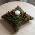 Plantenkussen wijnstokken mos plantenschaal naturel 20×20×6,5cm | Floristik24.nl