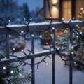 LED rijstlichtketting 40s 3m voor buiten koud wit | Floristik24.nl