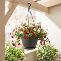 Hangmand Galicia Ø30cm antraciet | Floristik24.nl