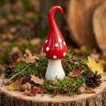 Deco Vliegenzwam Keramiek Deco Paddestoel Rood Wit Ø6.5cm H21cm | Floristik24.nl