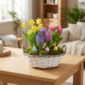 Plantenmand, decoratieve mand, wit met handgrepen, 25cm | Floristik24.nl