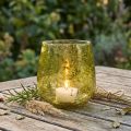 Windlicht glasdecoratie vintage geelgroen Ø12cm H12,5cm | Floristik24.nl