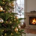 Grote decoratieve sterren om op te hangen, 24 cm, bessenglitter, kerstversiering, set van 6 | Floristik24.nl
