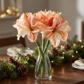 Kunst Ridderster Kunstbloemen Wit Rood Oranje Amaryllis 40cm 3st | Floristik24.nl