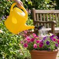 Gieter 5 liter geel