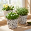 Bloempot met boomschorslook, ideaal voor een rustieke interieurstijl en plantendecoratie, 12 cm, 4 stuks | Floristik24.nl