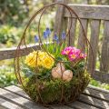 Draadmand, metalen plantenbak, lenteversiering, paasmand, bruin, roestkleurige afwerking, H34cm L30cm | Floristik24.nl