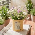 Decoratieve tinnen, abrikooskleurige, metalen plantenpot, zomerdecoratie, Ø15,5 cm H15 cm | Floristik24.nl