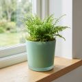 Glazen bloempot groene plantenbak glazen kuip Ø11.5cm H11cm | Floristik24.nl