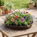 Plantring "Rondino" Ø35-55cm, 1stuk | Floristik24.nl