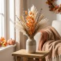Lagurus Gedroogd Konijnenstaartgras Abrikoos Decoratieve Gedroogde Bloemen 55-60cm 50g | Floristik24.nl